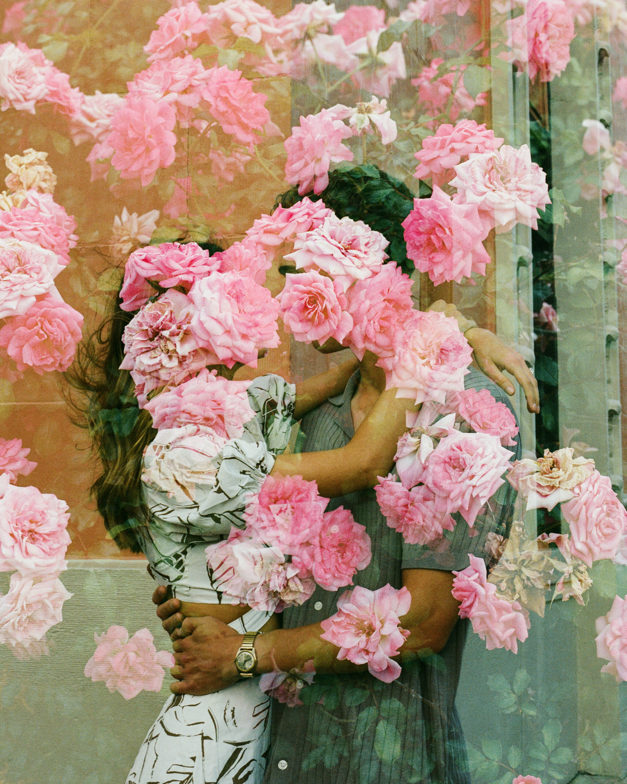 double exposure of couple and pink roses